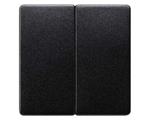 Siemens 5TG6225-1 Клавиши для рояля, черный цвет, 2 клавиши, размер 55 мм x 55 мм Siemens 5TG6225-1 Клавиши для рояля, черный цвет, 2 клавиши, размер 55 мм x 55 мм